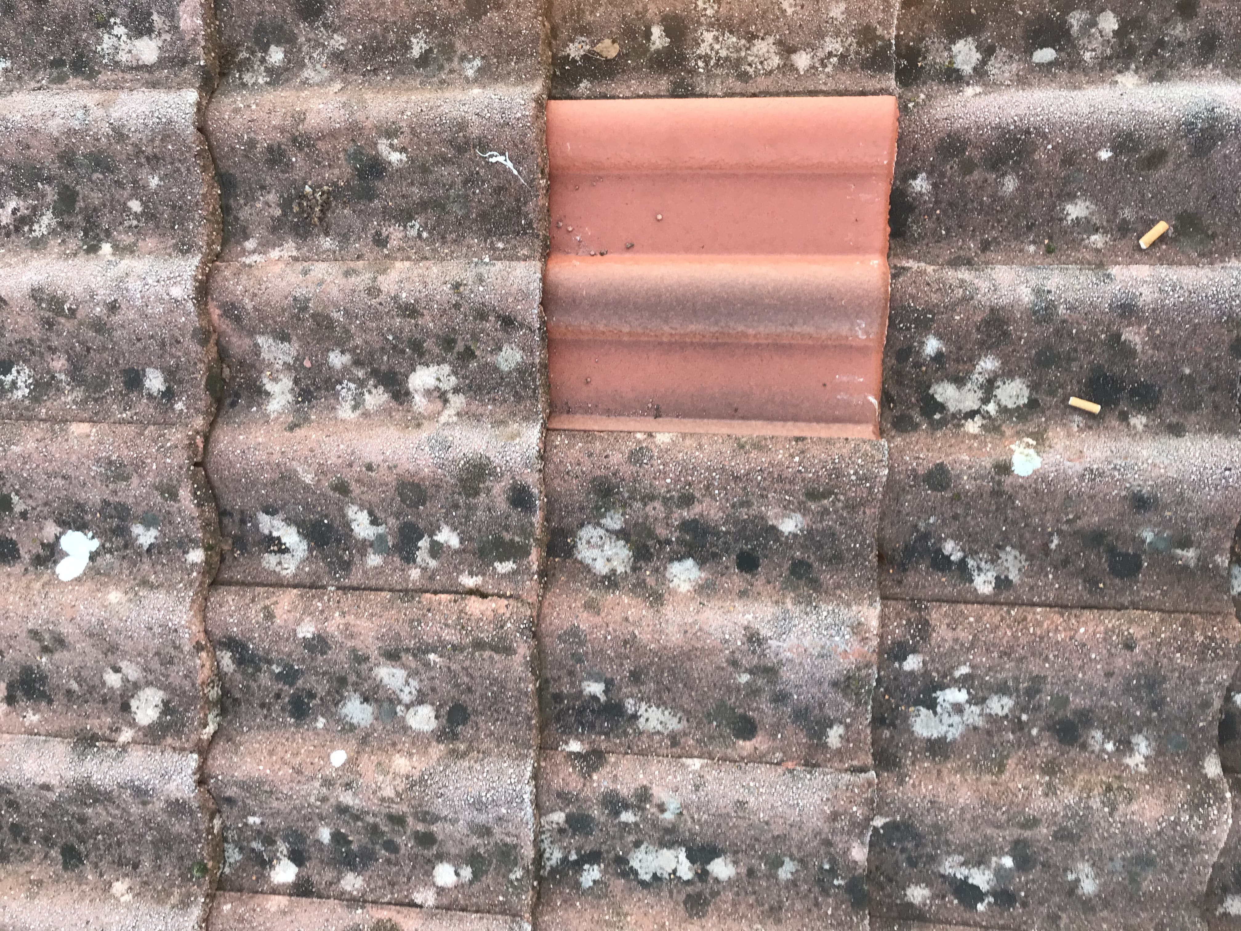 remplacement-tuiles.jpg