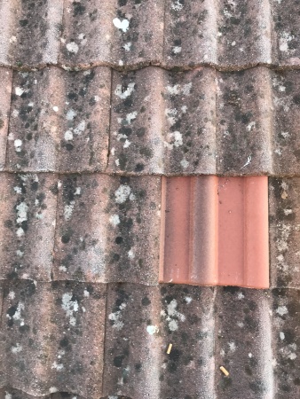 remplacement-tuiles.jpg